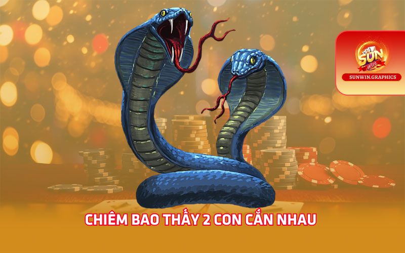 Chiêm bao thấy 2 con cắn nhau