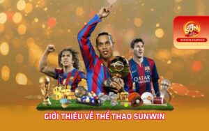 Giới thiệu về thể thao Sunwin