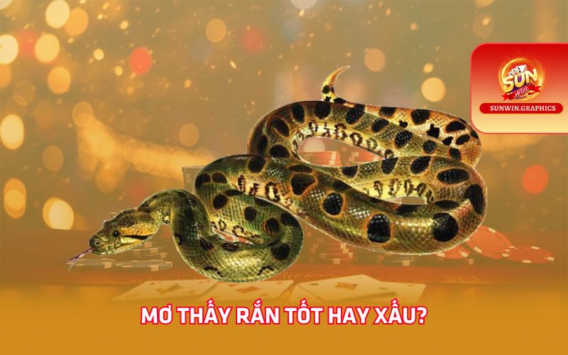 Mơ thấy rắn tốt hay xấu?